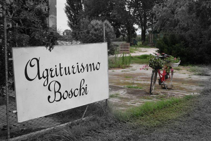 Agriturismo Boschi Reggiolo Ngoại thất bức ảnh